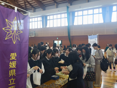 IMG20250510132438