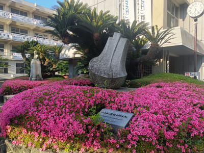 IMG20260518062432